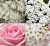 img_blocco_muschiobianco.png